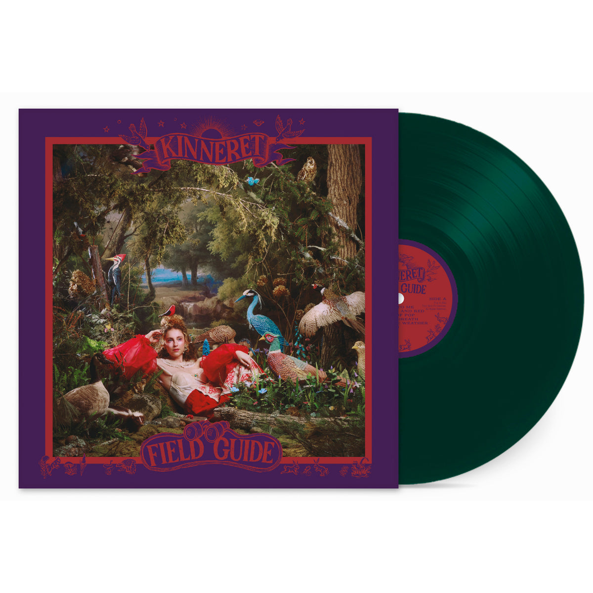 Field Guide (Evergreen Vinyl Record) – Missingink Shop