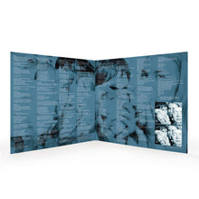 Load image into Gallery viewer, The Rubber Teeth Talk (Vinyl Record) - AUTOGRAPHED