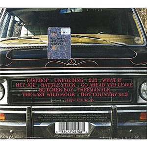 THE JERRY DOUGLAS BAND - WHAT IF - CD (2017)