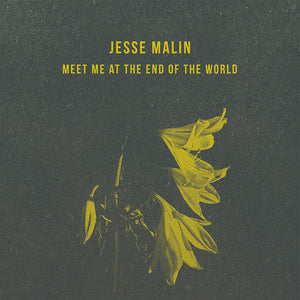 Meet Me At The End Of The World (CD)
